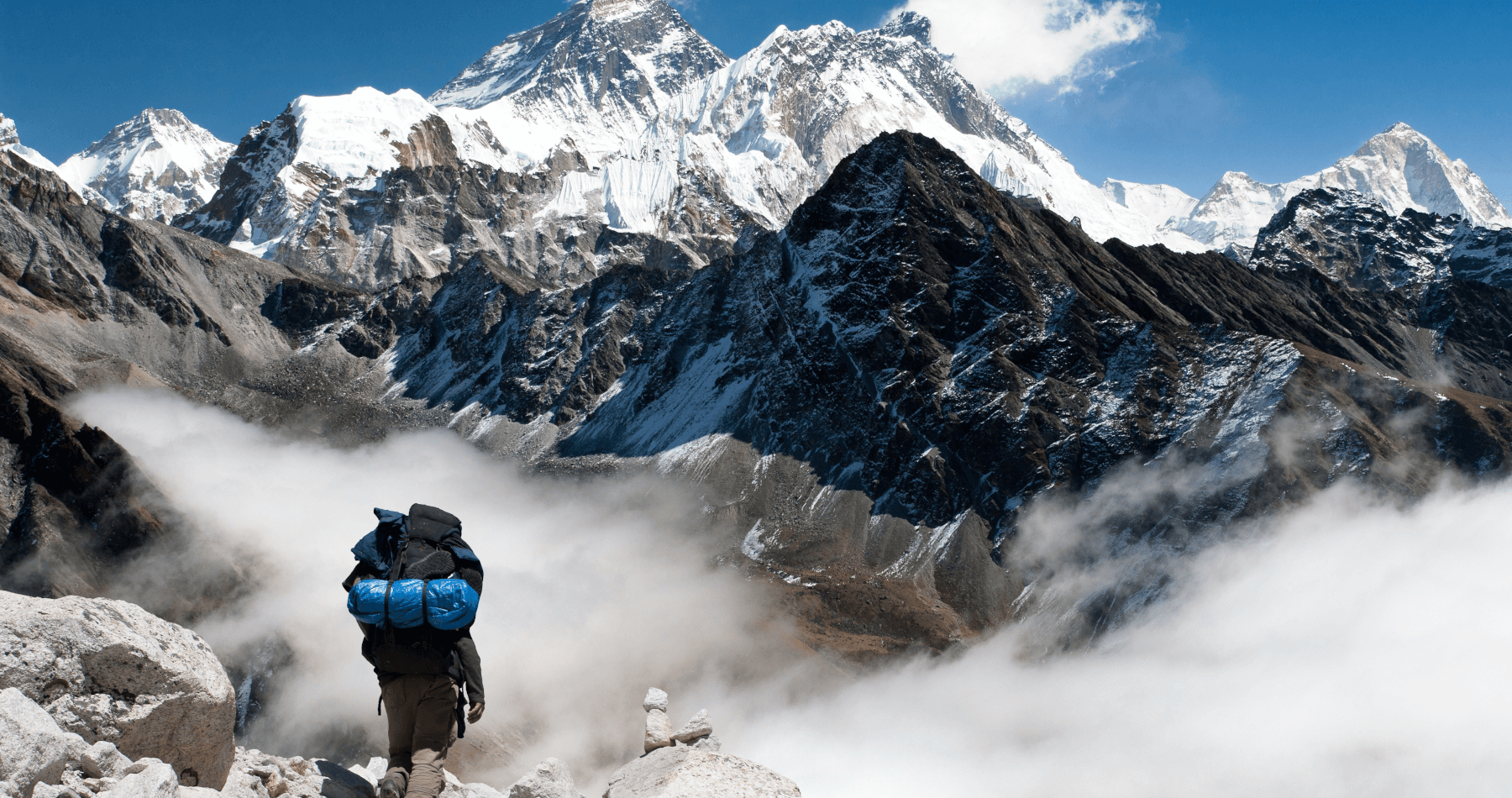 For backpackers, hikers, and athletes who train. There's Battle Balm, the all natural topical pain relief cream for performance and health conscious consumers.